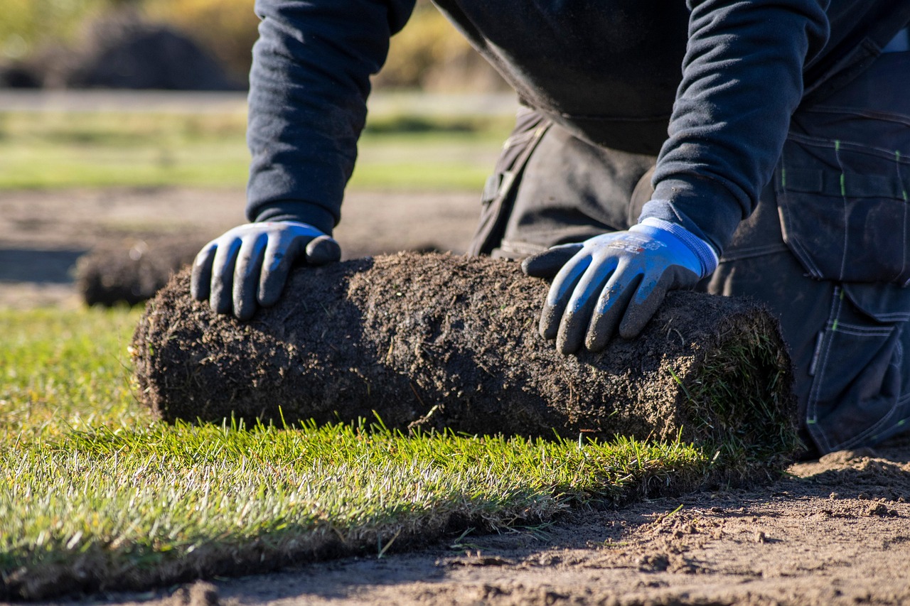 Eine Person kniet im Garten auf dem Boden und verlegt einen Rollrasen